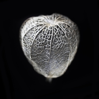 Ingen Og Jeg ,  ,  195081549583