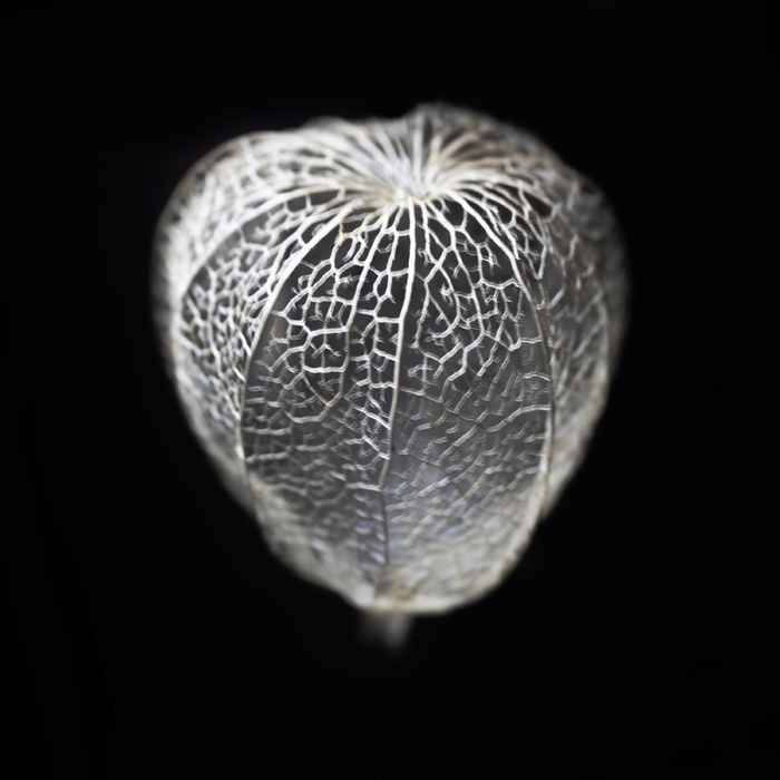 Ingen Og Jeg ,  ,  195081549583