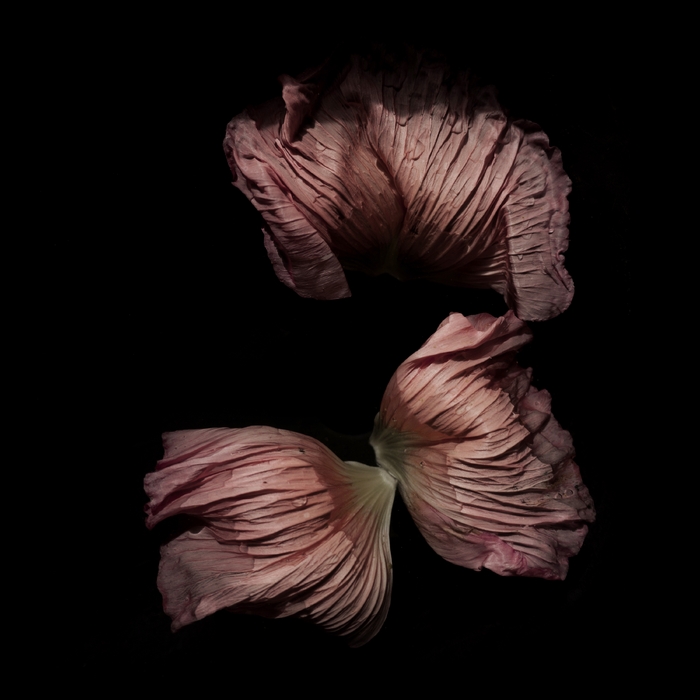 Singles, Sketches, Outtakes, Vol. 3 ,  ,  195081524603