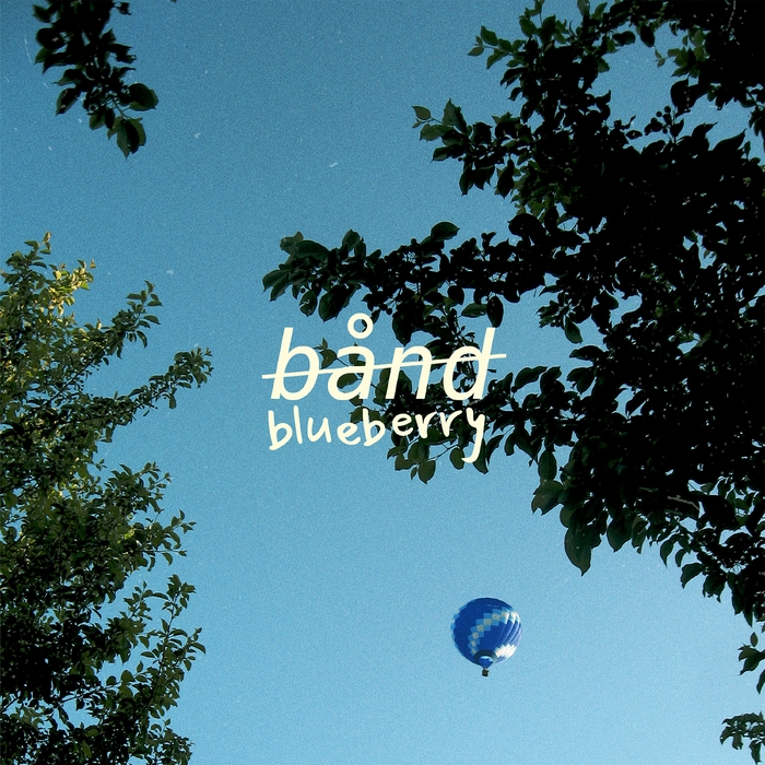 Blueberry ,  ,  194491767563