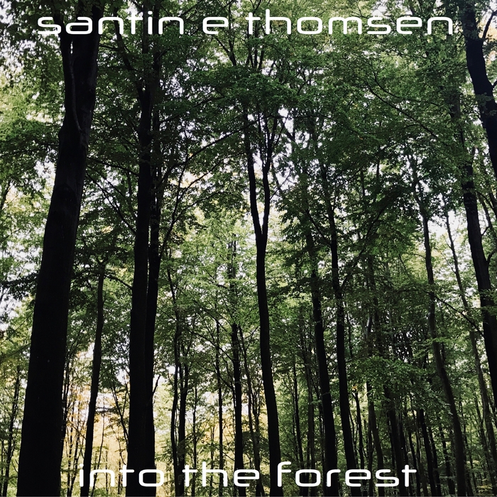 Into the Forest ,  ,  7071245442019