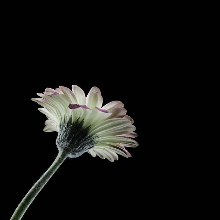 #1 ,  ,  5710261058911