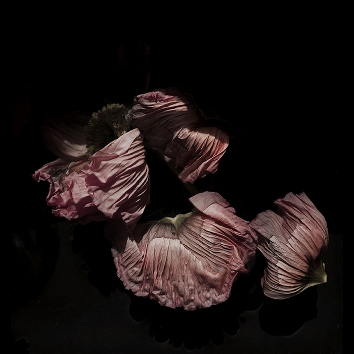 Sketches, Singles, Outtakes, Vol. 5 ,  ,  195081572970