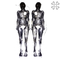 The Long Haul of Cercopithecoidea ,  ,  195497335152