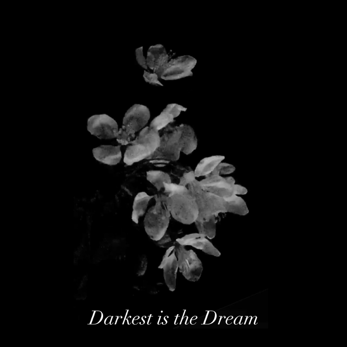 Darkest is the Dream ,  ,  195497032723