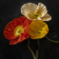 #3 ,  ,  5710261059086