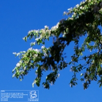 Go Again ,  ,  196006838553