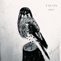 Talon ,  ,  195939799696