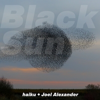 Black Sun ,  ,  196925649933