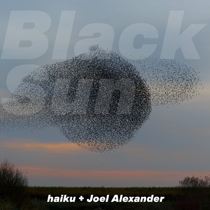 Black Sun ,  ,  196925649933