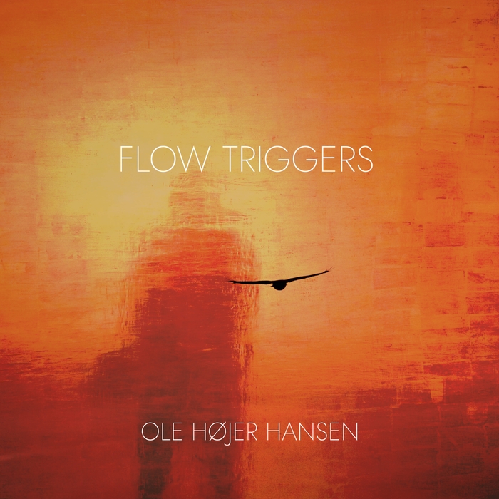 Flow Triggers ,  ,  197187536443