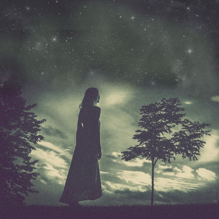 Orion ,  ,  197188028008