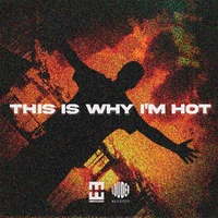This Is Why I'm Hot ,  HEDEGAARD Remix ,  195497790098