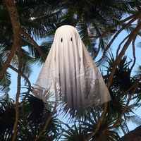 Ghost ,  ,  196006019570