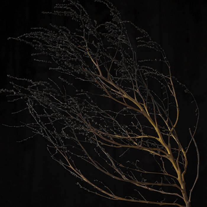 Formning 1 ,  ,  195081172637