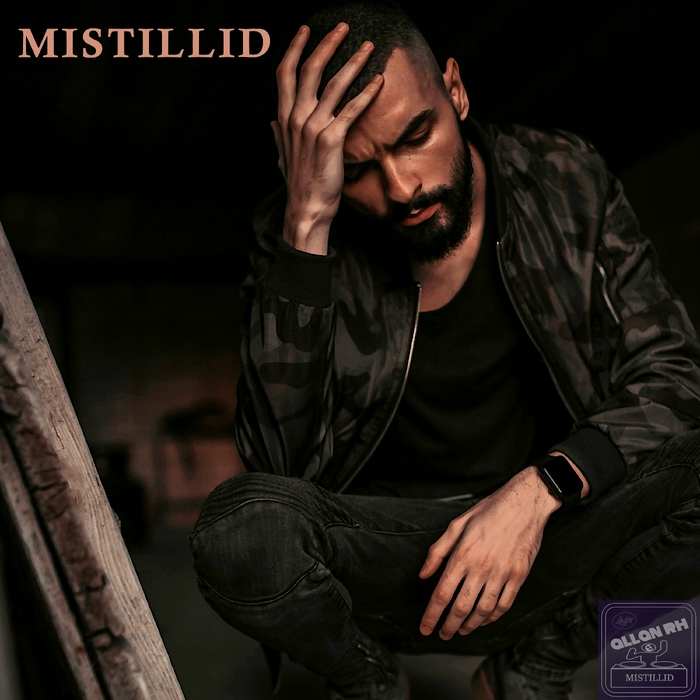 Mistillid ,  ,  195081378206