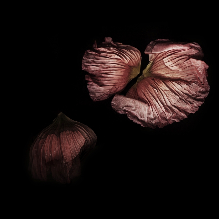 Remixes, Versions, Soundtracks, Vol. 4 ,  ,  195081572666