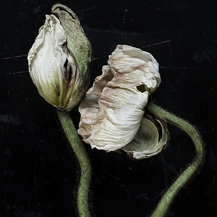 #2 ,  ,  5710261058928