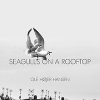 Seagulls On A Rooftop ,  ,  197188878658