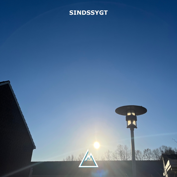 Sindssygt ,  ,  197188968212