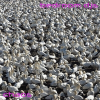 The Chaos ,  ,  197188606572