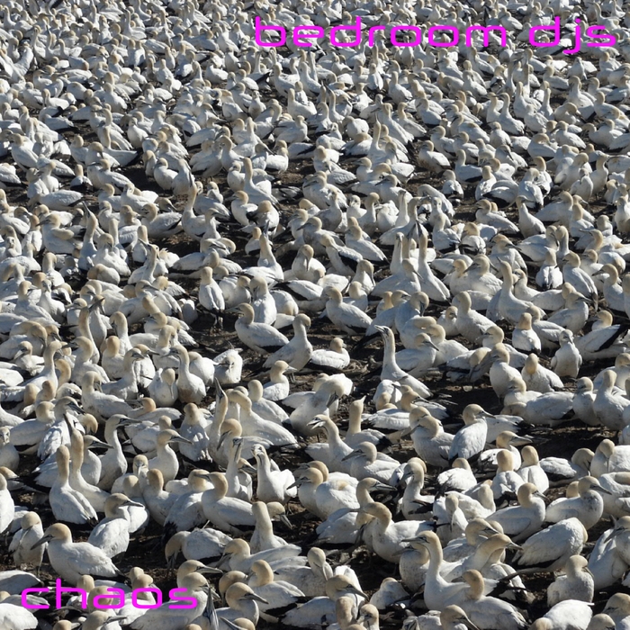 The Chaos ,  ,  197188606572