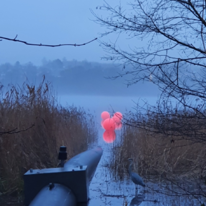 Fall ,  ,  197190748963