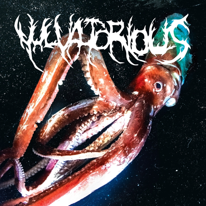 Vulvatorious ,  ,  197190419153