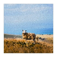 Nådens Dør & Jeg Ville Gerne Eje ,  ,  197902081906