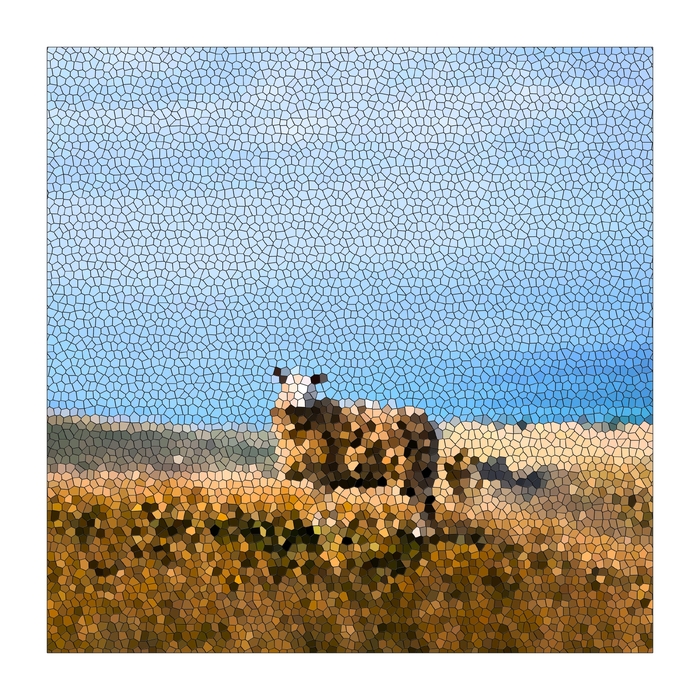 Nådens Dør & Jeg Ville Gerne Eje ,  ,  197902081906