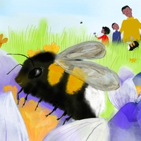 Natur Alfabetet - Humlebien Holly ,  ,  198391419935