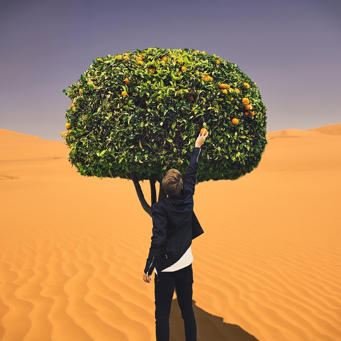 Forest In My Mind ,  ,  197189011238