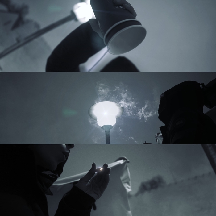 Goose ,  ,  198391789205