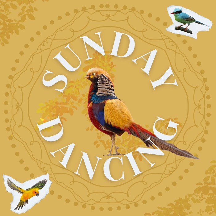 Sunday Dancing ,  ,  198391947599