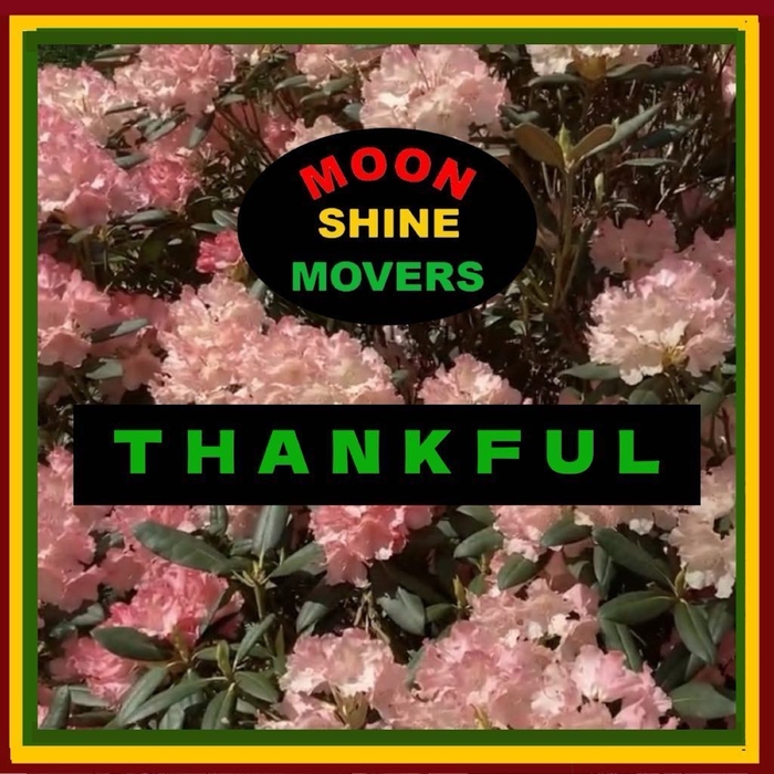 Thankful ,  ,  198588042397