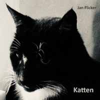 Katten ,  ,  198588070673