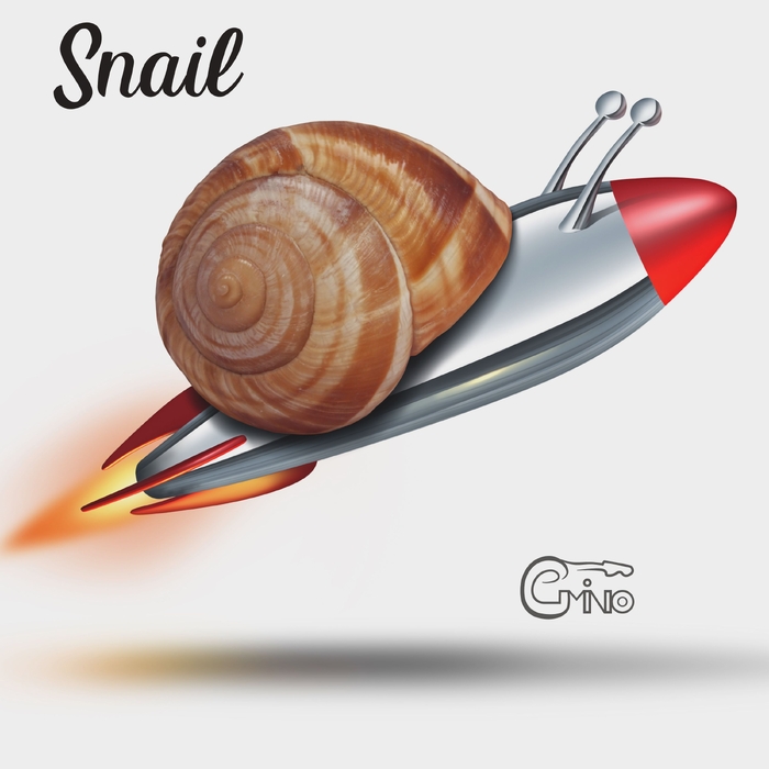Snail ,  ,  198588251690