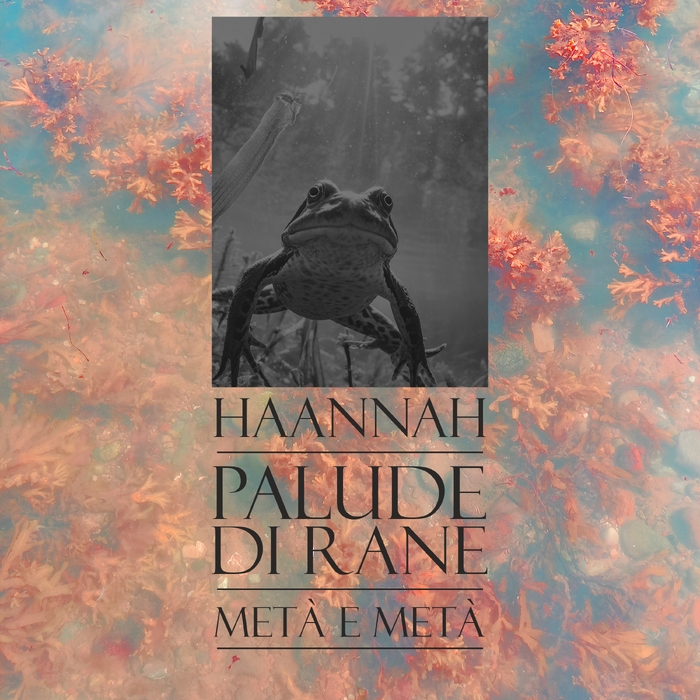 Palude di rane ,  ,  198588350881