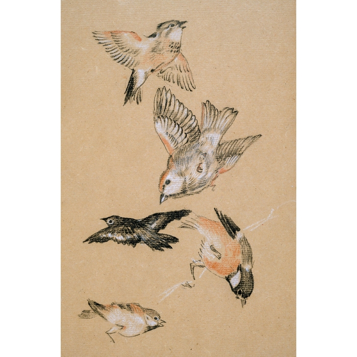 Flown Away ,  ,  198588405123