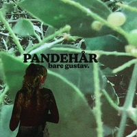 PANDEHÅR ,  ,  198588647721