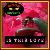 Is This Love ,  ,  198588724989