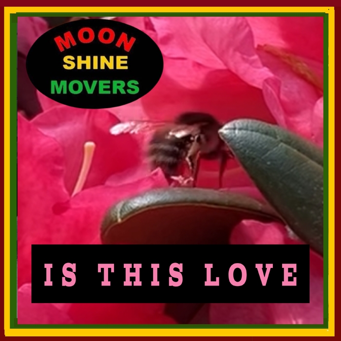 Is This Love ,  ,  198588724989