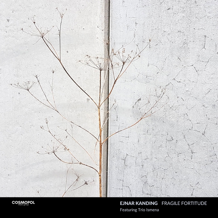 FRAGILE FORTITUDE ,  ,  198846119144