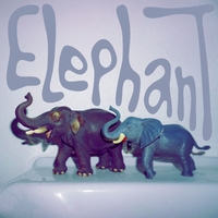 Elephant ,  ,  198846387321