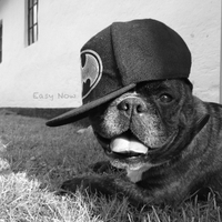 Easy Now ,  ,  196321959933