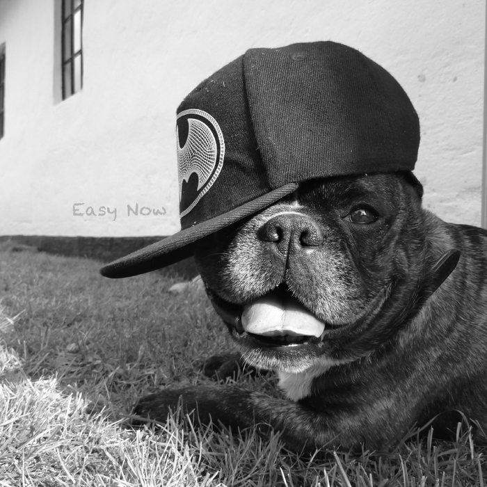 Easy Now ,  ,  196321959933