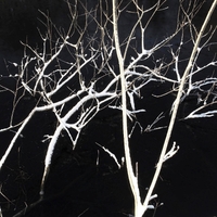 Quantum2#1 ,  ,  198846832531