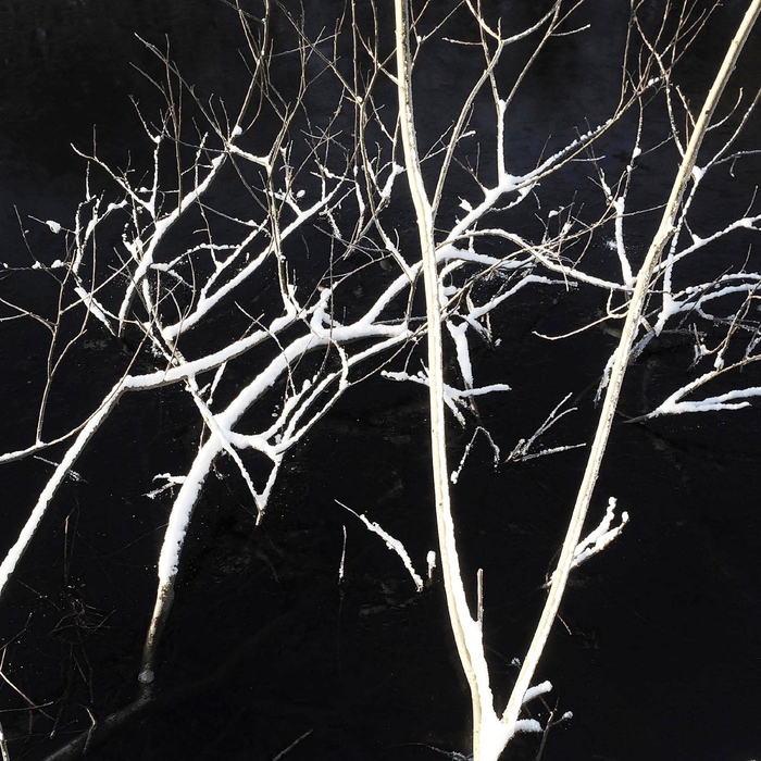 Quantum2#1 ,  ,  198846832531