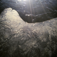 Quantum1#2 ,  ,  198846830650