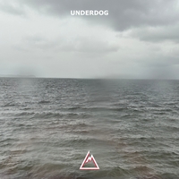 Underdog ,  ,  199066103739
